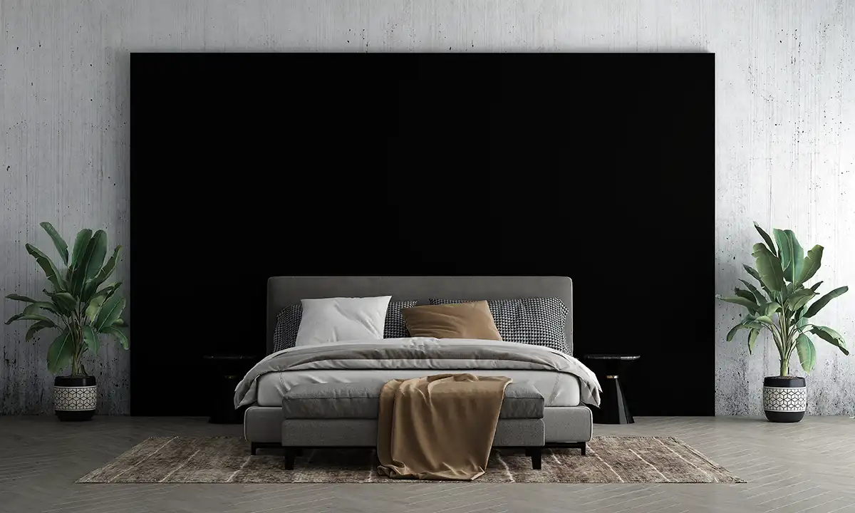 Black and white Bedroom Ideas with Accent Color