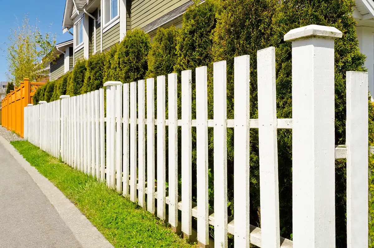 metal yard fence