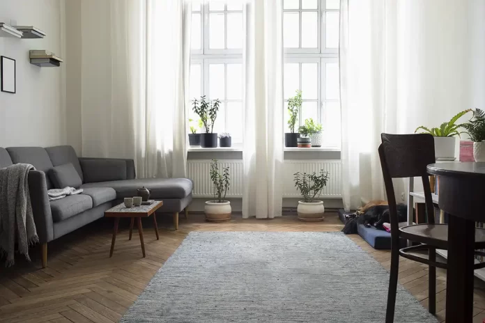 Small Luxury Apartment Interior Design