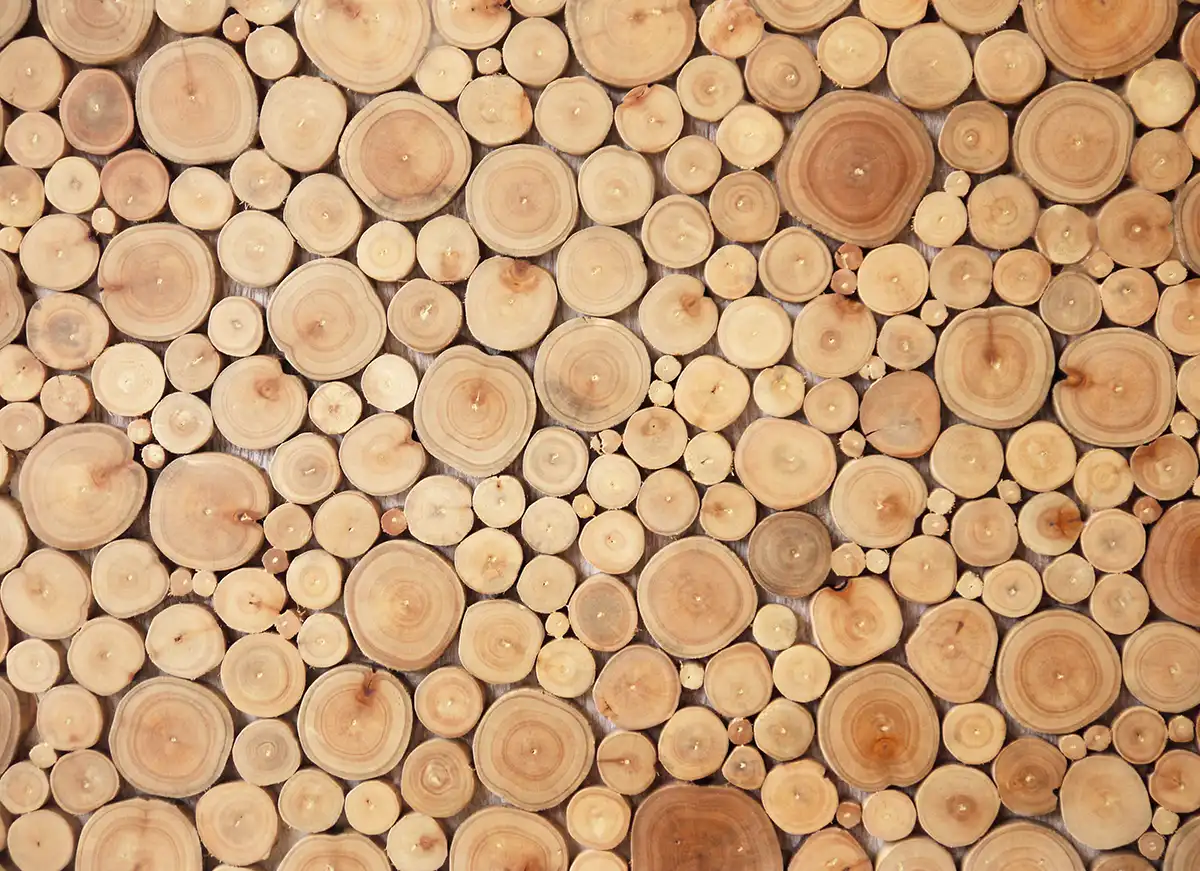 tree rings