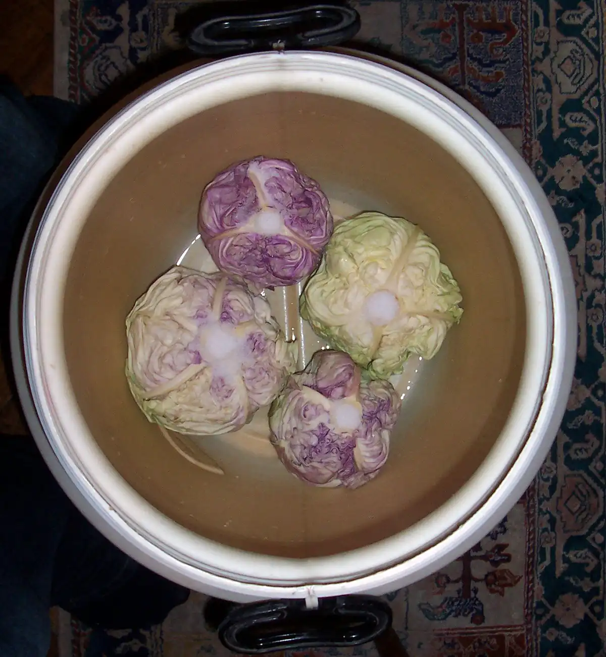 Homemade Sauerkraut