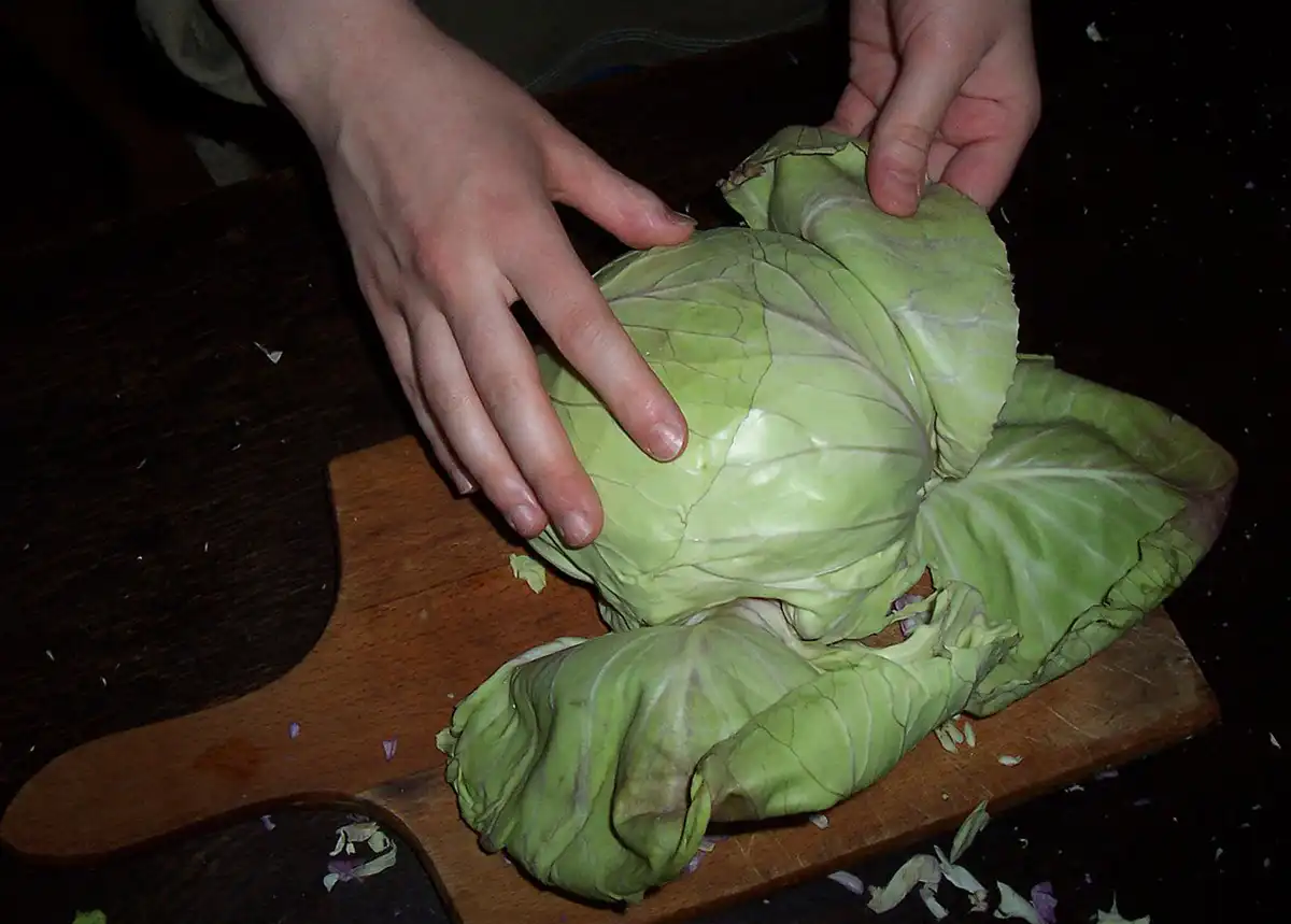 How to make homemade sauerkraut in a can